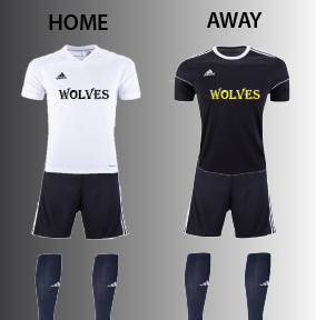 wolves jersey gray